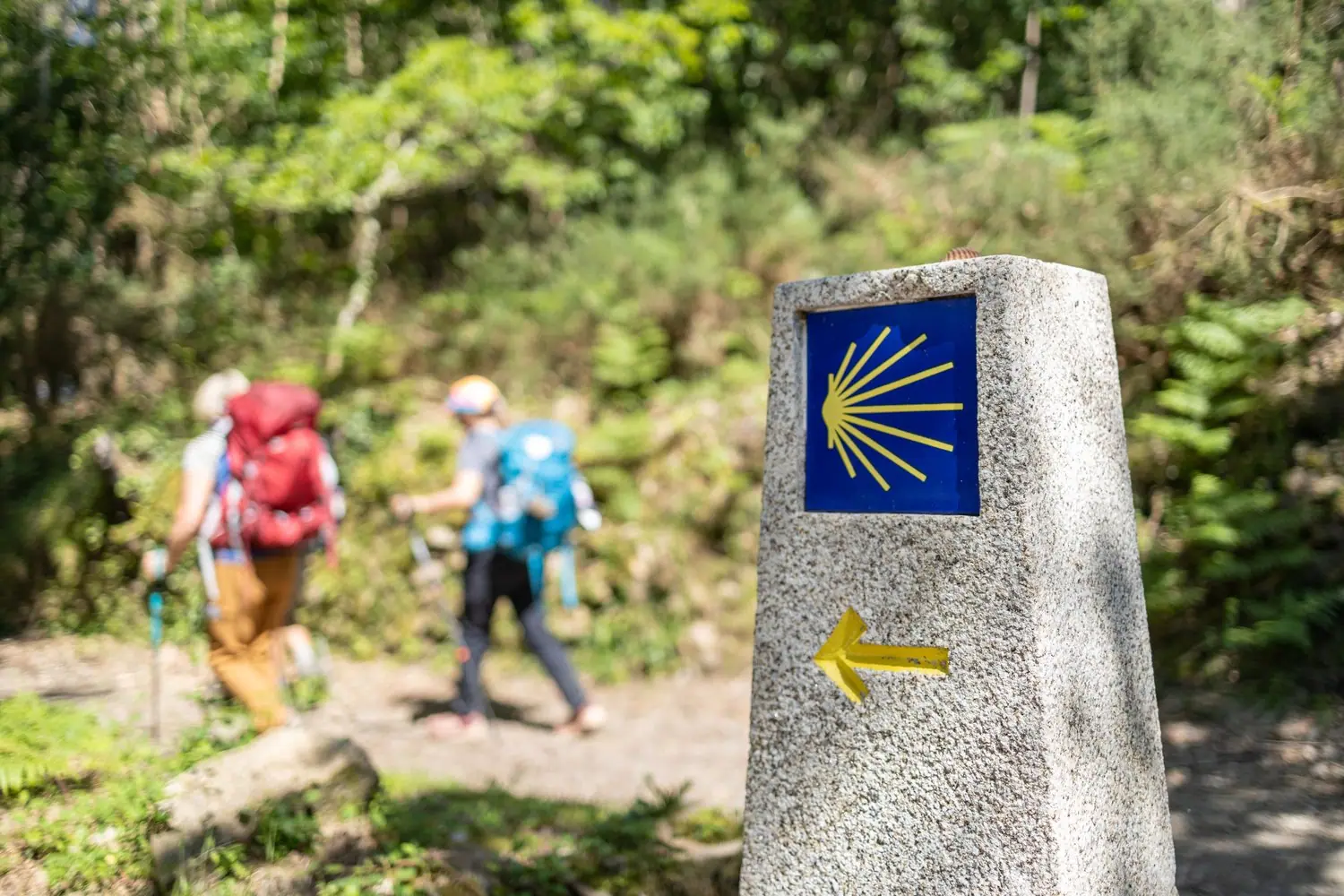 Podróże po Camino de Santiago: Przygotowania fizyczne i duchowe