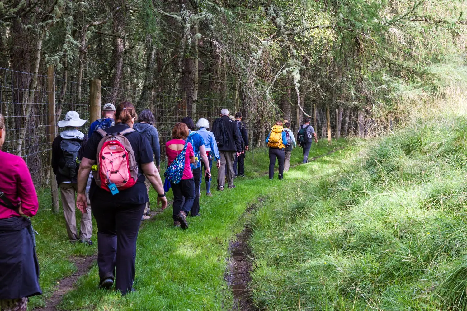 Podróże po Via Francigena: szlak pielgrzymkowy z Rzymu do Canterbury